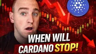Crypto Market Crash Update: Cardano's Reality Check