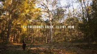 24 Treelands Drive, Jilliby - Private acres on the edge of town