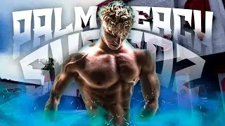 Palm Beach Shredz | Back day