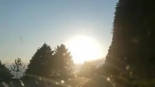 Hwy 101 | Oregon | Oswald West State Park