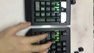Razer Green switch and Razer Orange Switch