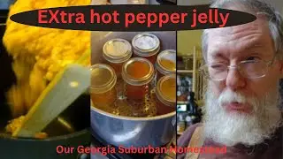 Let's make SUPER HOT Sugar Rush Peach Jam!