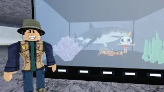 I return to Fisch and open up an aquarium