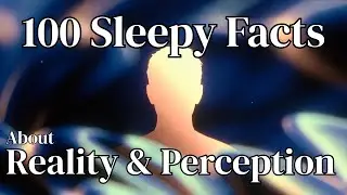 The Most Relaxing Facts About Reality and Perception | The Science of How Your Brain Works
