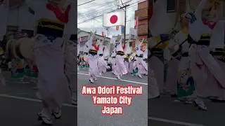 Awa Odori Festival, Japan
