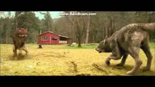 Twilight wolves - Circus for a psycho(Skillet)