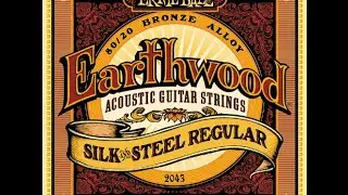 Обзор струн для акустической гитары Ernie Ball 2045 Earthwood 80/20 Bronze Silk and Steel Soft