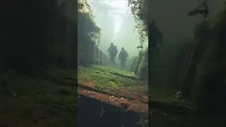 Ancient Bridge Found Deep Beneath Amazon Swamp