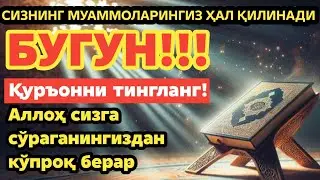 ПУЛЛАР СИЗГА ТЎХТОВСИЗ КЕЛАДИ, 10 ДАҚИҚА ИЧИДА. БОЙ БЎЛИНГ, ИНШААЛЛОҲ!