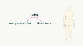 Hud og slimhinder: Introduktion til hud og slimhinder