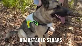 K9 SAR HARNESS DNB311