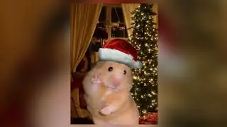 tiktok edit audios bc today is CHRISTMAS 🎄 ‼️✨ + timestamps 
