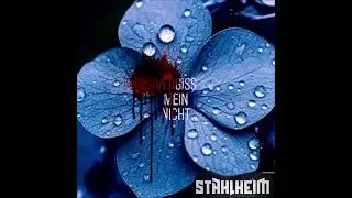 Stahlheim - Vergiss Mein nicht