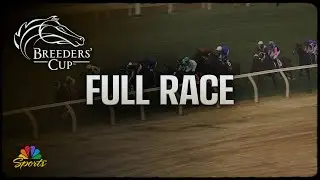 Breeders' Cup 2025: Filly & Mare Turf (Full Race) | NBC Sports