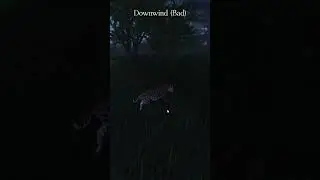 Saber Hunts Pt3  #roblox #animals #gaming #ecoslabrea