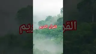 القرآن الكريم #unfrezzmyaccount ##foryou #unfrezzmyaccount #1mviewers #islamic_video #islam