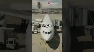Arming & Disarming on Aircraft Explained | What Happens #doors #aircraft #airbus #boeing #escape