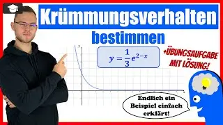 e Funktion Krümmungsverhalten bestimmen einfach erklärt