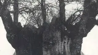 ☩