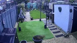 (22/1/2026) 7:50am HULL (Uk) BYC [0455]