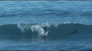 28 Aug 2023 Surf