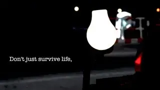 Don't just survive Life | ShutterGroove