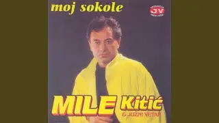 Moj sokole