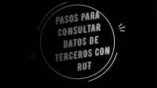 CONSULTA DATOS RUT