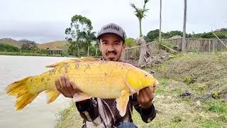 Pescaria de carpa com Massa hacker kibeloco - Pescador T&uacute;lio