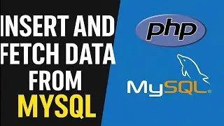 Insert and Fetch Data from MySQL Database using PHP | Beginner PHP + MySQL Tutorial