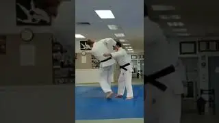 Counter JUDO techniques. Harai-goshi with Ushiro-goshi.#judo kodokan #australia #martialarts #iran