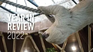 Year in Review 2022