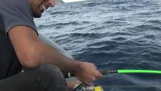 pesca radical.com