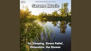 Ambient Music