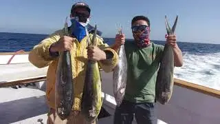 What to Know Before You Go Deep Sea Fishing in San Diego