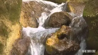 Ecosystems of California: Urban