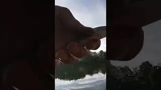 CATCHING TONS OF SMALL PERCH IN LOCAL LAKE #fishing #perch #fish