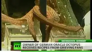 Paul the Octopus gets death threats after predicting Spain win over Germany