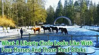 What A Liberty Circle Looks Like With Four Horses And Those Hoof Books