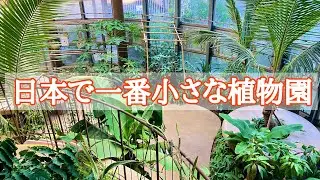 【渋谷区】無料で楽しめる渋谷区ふれあい植物センターが最高だった！【東京散歩】