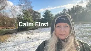 Chosing Calm as a Baseline   Not a Reward