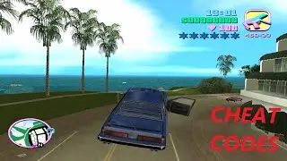GTA Vice City Cheat Codes! (NEW 2020)