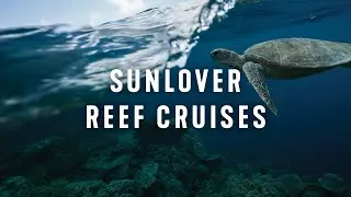 Experience the Great Barrier Reef from Cairns with Sunlover Reef Cruises