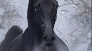 Speedpaint horse