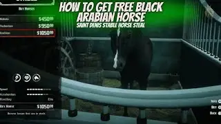 RDR2 - How To Get Free Black Arabian Horse | Saint Denis Stable | Red Dead Redemption 2