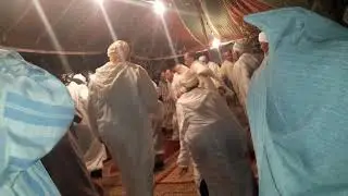 عيساوةاصيلة