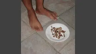 fafo