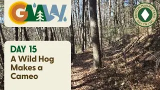 BMT Day 15 | A Wild Hog Makes a Cameo