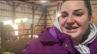Feeding Ember on cold winter morning!