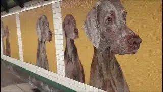 NY Subway | Renewal of 23 Street Station
